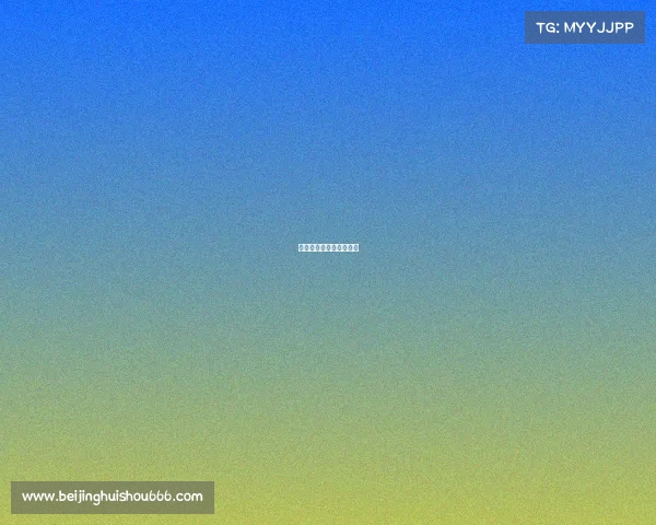 《无双战纪：破晓荣光》