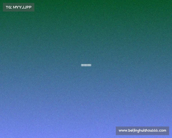 朱雀电子俱乐部